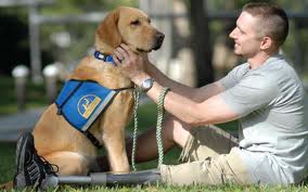 Veterans are more likely to live in rural areas Veteran sitting on grass with service dog